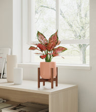 Load image into Gallery viewer, Calm Rose stand:walnut