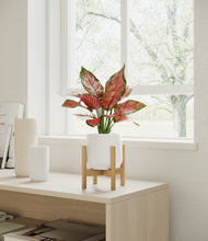 Load image into Gallery viewer, White stand:bamboo