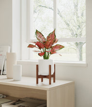 Load image into Gallery viewer, White stand:walnut