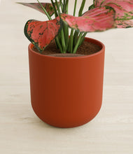 Load image into Gallery viewer, Earth Red stand:all