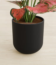 Load image into Gallery viewer, Stone Black stand:all