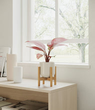 Load image into Gallery viewer, Cotton White stand:bamboo
