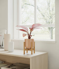 Load image into Gallery viewer, Glossy Pink stand:bamboo
