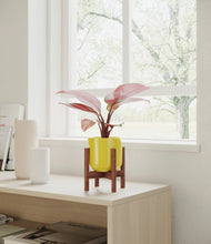 Load image into Gallery viewer, Key Lime Yellow stand:walnut
