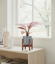 Load image into Gallery viewer, Misty Blue stand:walnut
