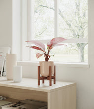 Load image into Gallery viewer, Sandy Pink stand:walnut
