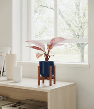 Load image into Gallery viewer, Twilight Blue stand:walnut
