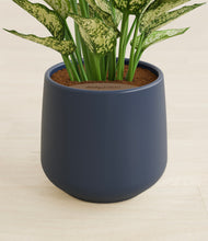 Load image into Gallery viewer, Deep Navy stand:all