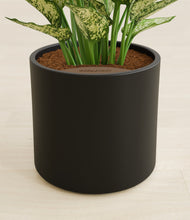 Load image into Gallery viewer, Black stand:all