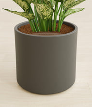 Load image into Gallery viewer, Dark Olive stand:all