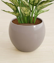 Load image into Gallery viewer, Winter Clouds stand:all