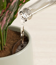 Load image into Gallery viewer, Turquoise stand:all