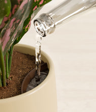 Load image into Gallery viewer, Almond Green stand:all