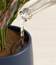 Load image into Gallery viewer, Deep Navy stand:all