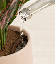 Load image into Gallery viewer, Gentle Pink stand:all