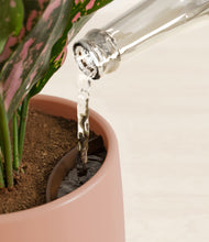 Load image into Gallery viewer, Calm Rose stand:all