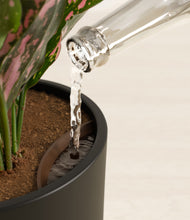 Load image into Gallery viewer, Black stand:all