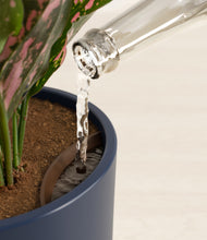 Load image into Gallery viewer, Deep Navy stand:all