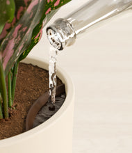 Load image into Gallery viewer, Cream stand:all