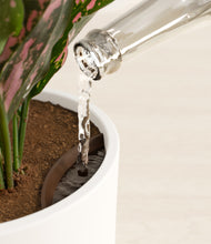 Load image into Gallery viewer, White stand:all