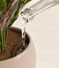 Load image into Gallery viewer, Desert Brown stand:all