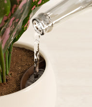 Load image into Gallery viewer, Shiny EggWhite stand:all