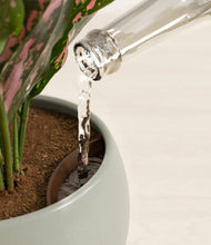 Load image into Gallery viewer, Deep Ocean stand:all