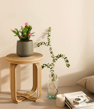 Load image into Gallery viewer, Olive