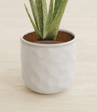 Load image into Gallery viewer, Hammered Ivory stand:all