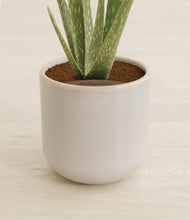 Load image into Gallery viewer, Snowdrift White stand:all