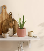 Load image into Gallery viewer, Striped Rose Pink