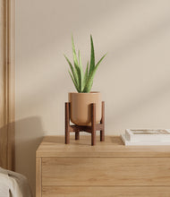 Load image into Gallery viewer, Glossy Pink stand:walnut