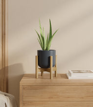 Load image into Gallery viewer, Iron Gray stand:bamboo