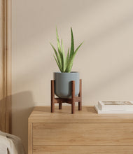 Load image into Gallery viewer, Misty Blue stand:walnut