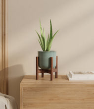 Load image into Gallery viewer, Reactive Aqua stand:walnut