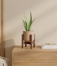 Load image into Gallery viewer, Sandy Pink stand:walnut