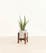 Load image into Gallery viewer, Snowdrift White stand:walnut