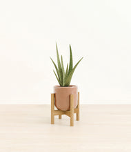 Load image into Gallery viewer, Hammered Peach Pink stand:bamboo