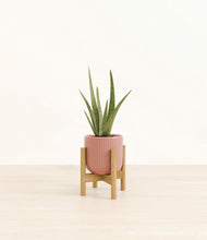 Load image into Gallery viewer, Striped Rose Pink stand:bamboo