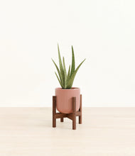 Load image into Gallery viewer, Striped Rose Pink stand:walnut