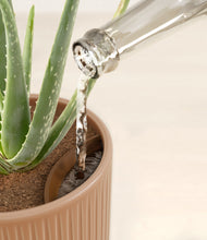 Load image into Gallery viewer, Striped Peach Pink stand:all