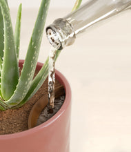 Load image into Gallery viewer, Hammered Rose Pink stand:all