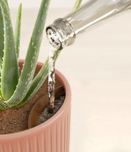 Load image into Gallery viewer, Striped Rose Pink stand:all