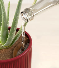 Load image into Gallery viewer, Striped Cherry Red stand:all