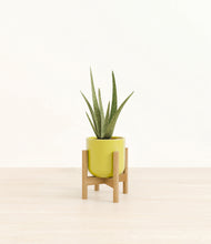 Load image into Gallery viewer, Key Lime Yellow stand:bamboo