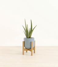 Load image into Gallery viewer, Misty Blue stand:bamboo