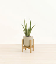 Load image into Gallery viewer, Sage Green stand:bamboo