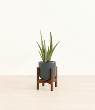 Load image into Gallery viewer, Iron Gray stand:walnut