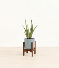 Load image into Gallery viewer, Misty Blue stand:walnut