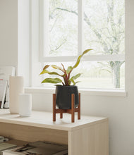 Load image into Gallery viewer, Black stand:walnut